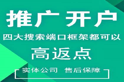 竞价广告与自然搜索的结合策略：XX网站的案例分析